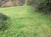 Grazing available in a few weeks