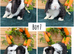 Mini lop babies