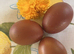French Copper Black Maran Hens for sale