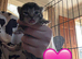 ***ONE left beautiful black boy***