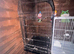 2 big bird cages