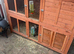Boy ferret and double hutch