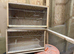 Single breeding cage for budgies and small birds