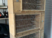 Budgie breeding cages