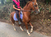 Super pony for the future