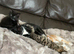 Beautiful babies