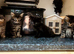 4 beautiful kittens for sale