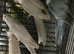 PARROTS to finches