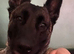 Delta the dutchie