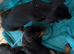 3 male dachshund