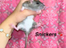 Beautiful mixed gender baby rats