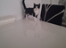 British Shorthair cross kittens