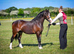 Top quality sec c colt can be gelded