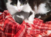 Here is Sid he's silver