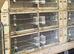 24 Breeding cages