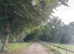 Full livery available on a very quiet, rusk yard.