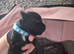 3 chorkie boys pups