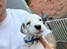 Beautiful litter of Dalmatian’s look