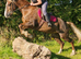 15h 5yrs Welsh d would consider loan