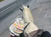 *** GYPSY COB MOTHER/DAUGHTER SHARE***