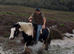 Bombproof Ride & Drive Mare