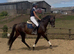 The Rising Star For The ROR Circuit