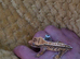 Crested gecko (frog bum)
