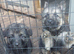 German Shepherd Long Haired Puppies