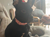 French bulldog X Patterdale