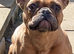 Gorgeous girl available