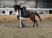 16'2 all rounder