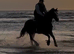 The ultimate schoolmaster allrounder cob