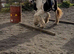 Weight carrying cob