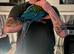 Greenwing macaw for sale
