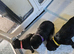 1 female rottweiler puppy left kc reg