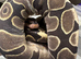 Rare Scaleless/ super micro scale royal (ball) python