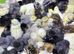 Pure breed day old chicks