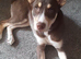 Beautiful Rare Girl Ready Now