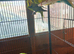 BUDGIES