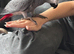 Hand Reared Tame Parrots & Gentle Pigeons