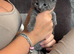 4 kittens