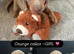 Dachshund