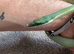 Barons green racer
