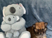 Pomeranian puppies