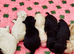 Mesmerizing golden doodle baby's