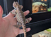 Male baby bearded dragon