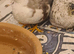 Lovely lot quails