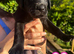 KC Registered Black Lab pups