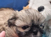 Kc reg Stunning small baby boys
