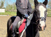 Looking for a loan horse near Brackley